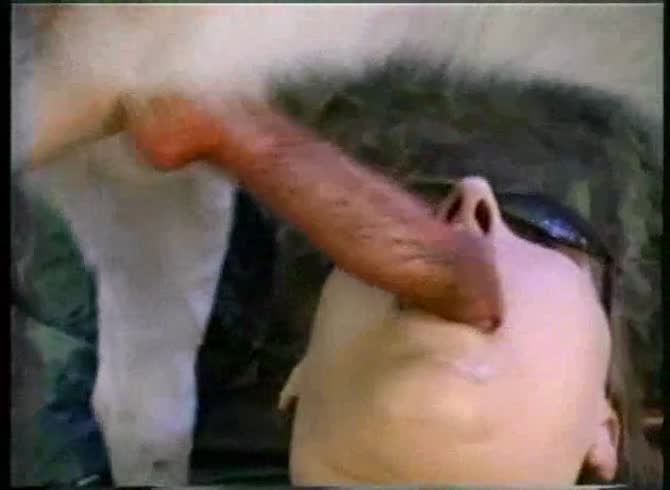Video :MILF giving blowjob to dog dick and pussy got dog creampie
